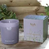 Herb Dublin | Lavender and Fresh Rosemary Boxed Candle