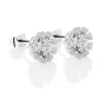 Newbridge Silverware Flower Earrings Clear Stone