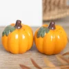 Pumpkin Salt & Pepper Shakers