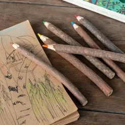 Rex London Twig Colouring Pencils